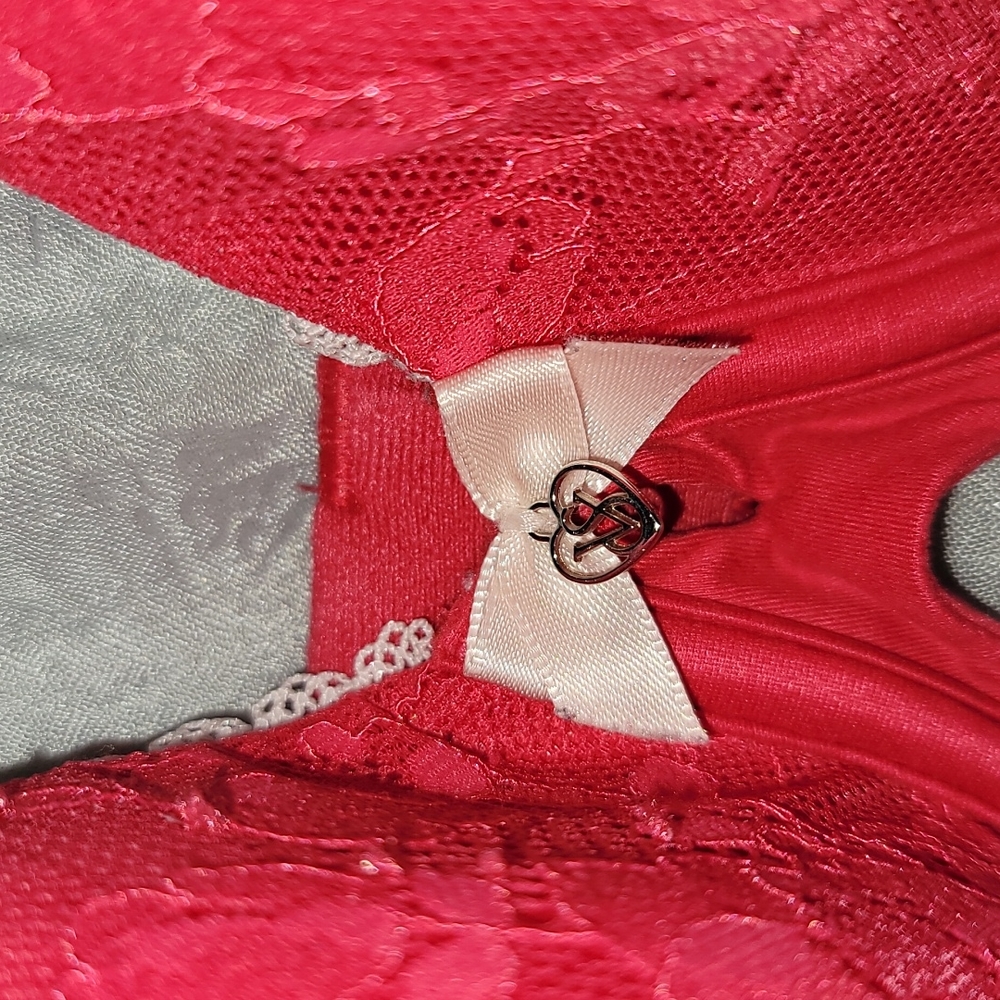 NWOT VS BODY BY VICTORIA 32DDD BRA - Picture 2 of 7